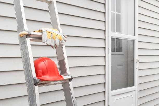 Affordable Siding Repair and Maintenance Services in Harlingen, TX